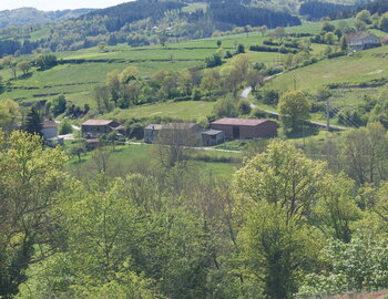 La Roche