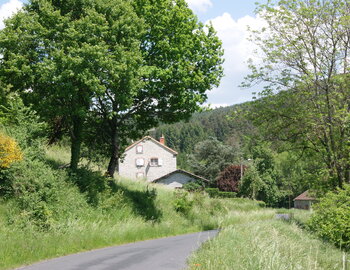 Le Pré de l'arbre