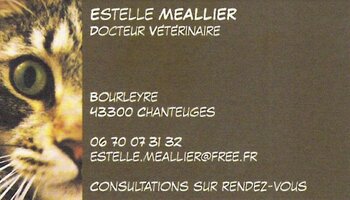 Estelle MEALLIER vétérinaire ostéopathe 