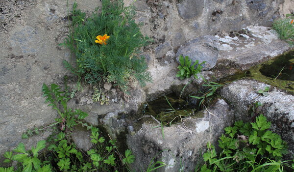 le plus petit bac qui alimente le lavoir