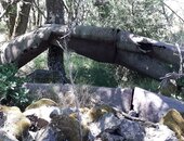 La conduite abandonnée
