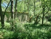 Un moulin en ruine