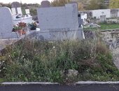 Avant le nettoyage